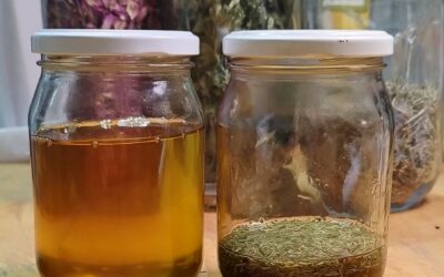El arte de los oleatos: Aprende a hacer tus propios aceites infusionados en casa – Tutorial paso a paso